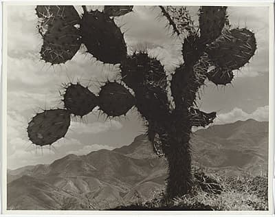 Anton BRUEHL | On the road to Toluca