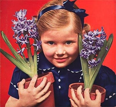 Anton BRUEHL | Hyacinths girl