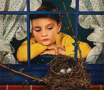 Anton BRUEHL | Boy looking at nest