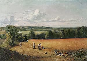 John CONSTABLE | The wheatfield