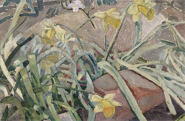 Grace COSSINGTON SMITH | Daffodils growing