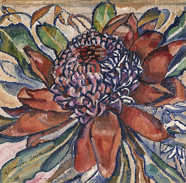 Grace COSSINGTON SMITH | Waratah