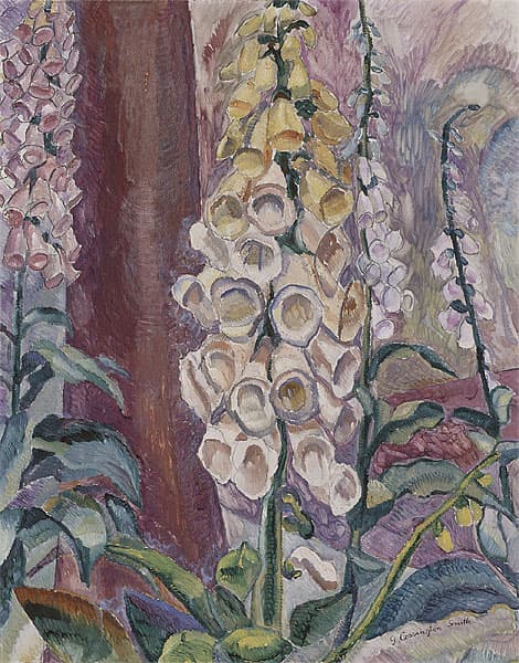 Grace COSSINGTON SMITH | Foxgloves growing