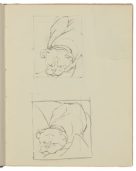 Grace COSSINGTON SMITH | (Two sketches of sleeping bulldog)