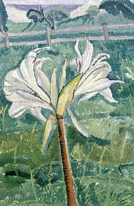 Grace COSSINGTON SMITH | Lily growing in a field by the sea