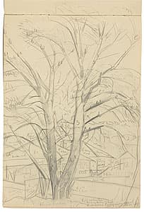 Grace COSSINGTON SMITH | (Sketch for 'The winter tree')