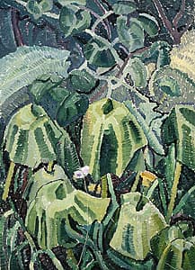 Grace COSSINGTON SMITH | Pumpkin leaves drooping
