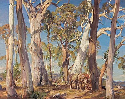 Hans HEYSEN | White gums