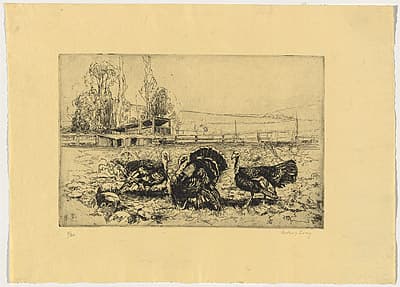 Sydney LONG | Turkeys and pumpkins