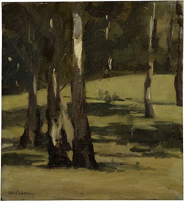 Max MELDRUM | Shadows, landscape with trees