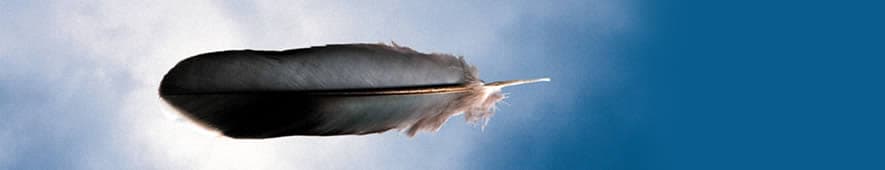 DETAIL: Michael RILEY, 'Untitled from the series cloud [feather]' Cloud series Feather 2000, printed 2005 Photograph chromogenic pigment print Ed: 1/5 NGA 2005.294.5, Reproduced courtesy of the Michael Riley Foundation and VISCOPY, Australia 