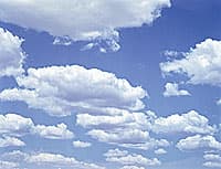 Michael RILEY Untitled, from the series flyblown (blue sky with cloud), 1998, photograph, chromogenic pigment print, 113 x 87cm, purchased 2004, reproduced courtesy of the Michael Riley Foundation and VISCOPY, Australia