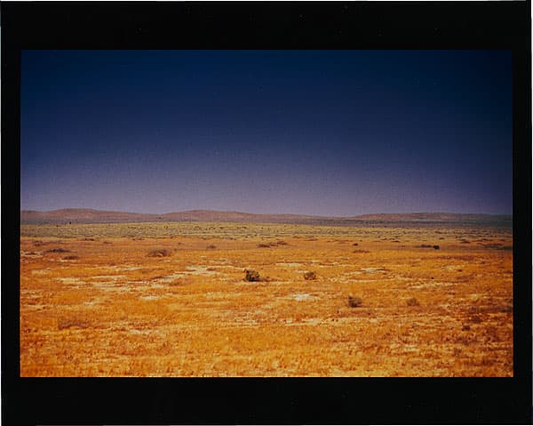 Michael RILEY | Untitled (Brown grass), from the series Fence Sitting, 1994