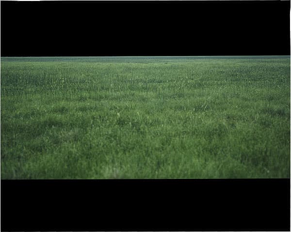 Michael RILEY | Untitled (Grasslands), from the series Fence Sitting, 1994