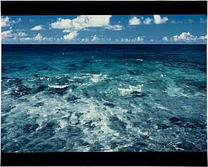 Michael RILEY | Untitled (Ocean), from the series Fence Sitting, 1994