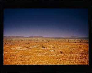 Michael RILEY | Untitled (Brown grass), from the series Fence Sitting, 1994