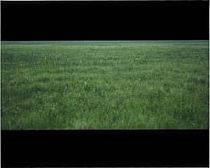 Michael RILEY | Untitled (Grasslands), from the series Fence Sitting, 1994