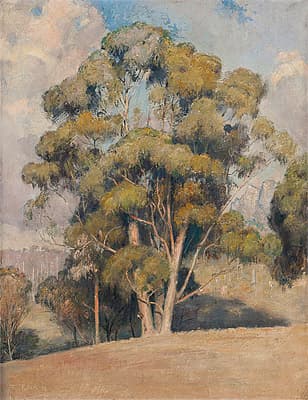 Tom ROBERTS | A queen of gums