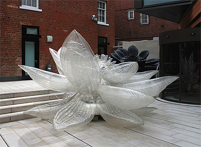  Choi Jeong Hwa | Clear lotus