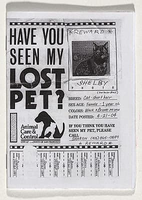  ANONYMOUS | Have you seen my lost pet?