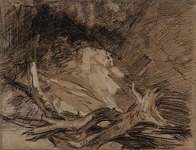 J M W TURNER | Fallen trees