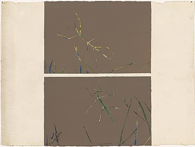 Fred WILLIAMS | (Stick insects)